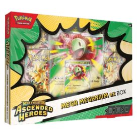 Ascended Heroes Mega Meganium ex Box