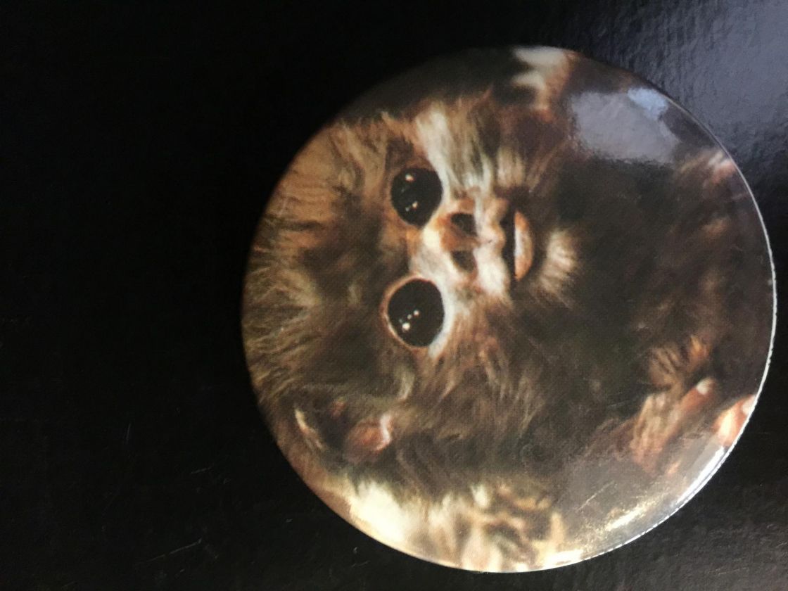 Star Wars Return Of The Jedi Photo Button Baby Ewok Loose 19 Porvoonpelikauppa Fi