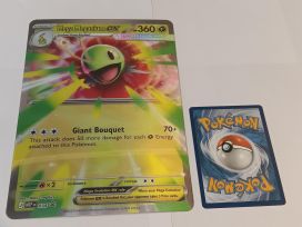 Mega Meganium ex 034 Iso Kortti
