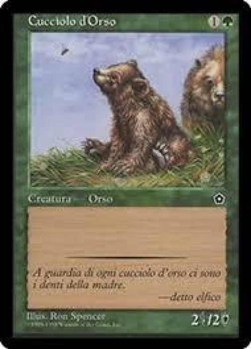 Bear Cub Kunto: NM