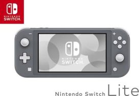 Nintendo Switch lite konsoli harmaa käytetty