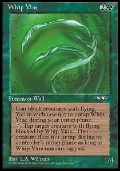 Whip Vinc Kunto: Excellent