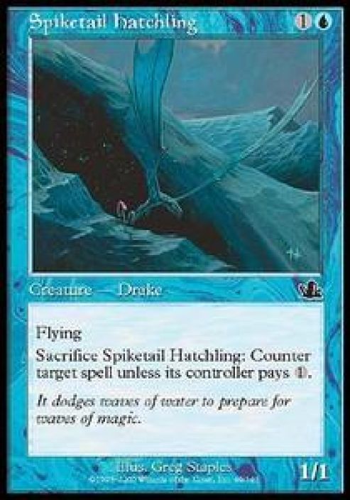 Spiketail hatchling Kunto: Excellent