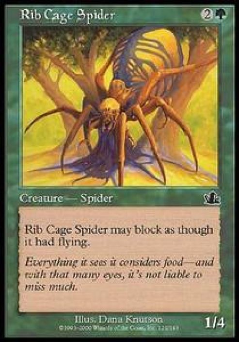 Rib Cage Spider Kunto: Excellent