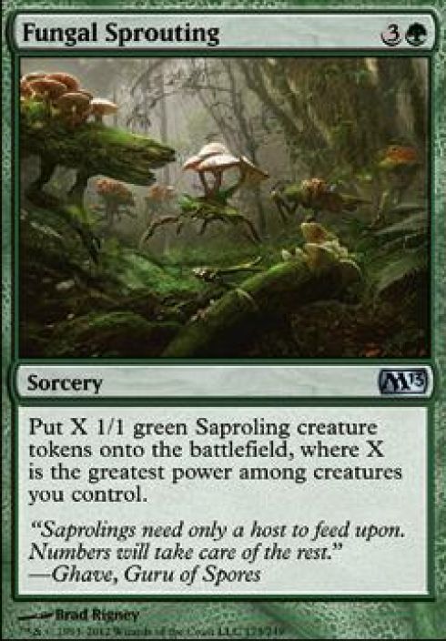 Fungal Sprouting Kunto: NM