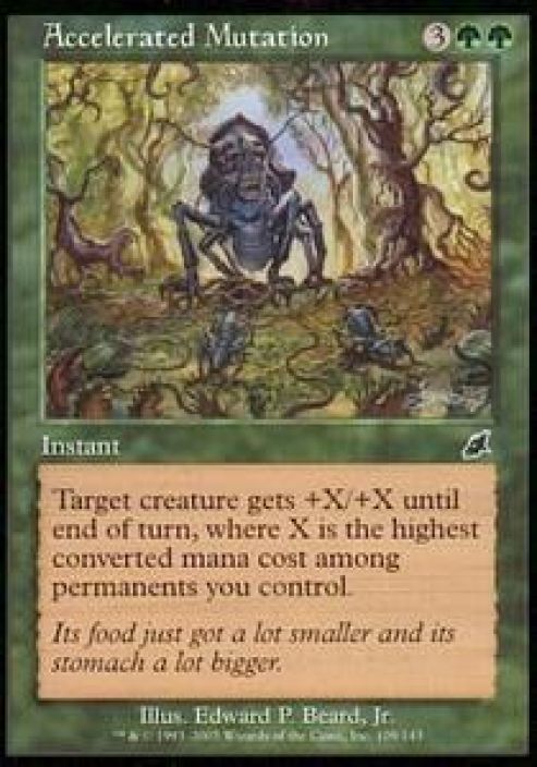Accelerated Mutation Kunto: Excellent