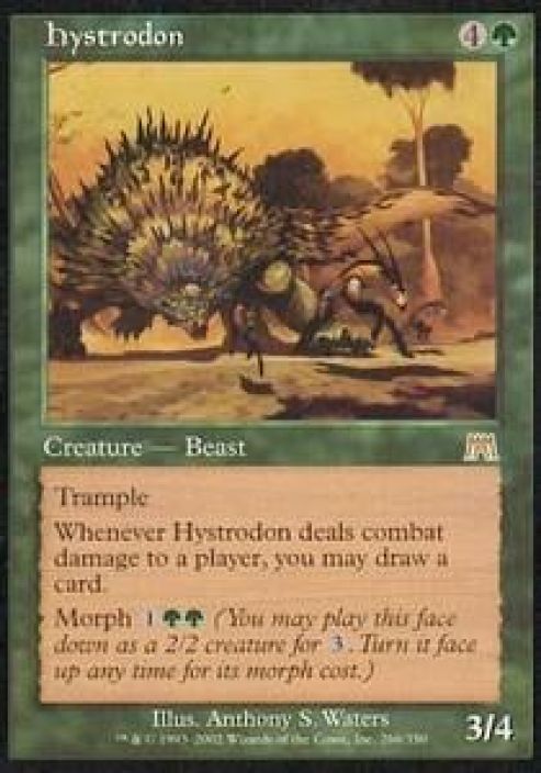Hystrodon Kunto: Excellent