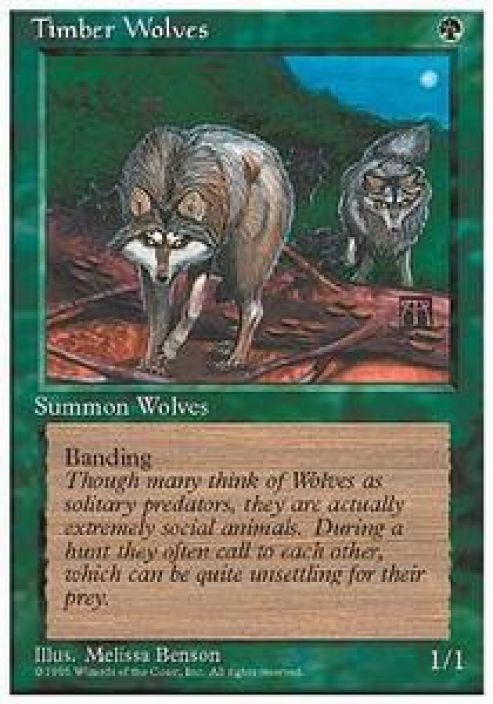 Timber Wolves Kunto: Played