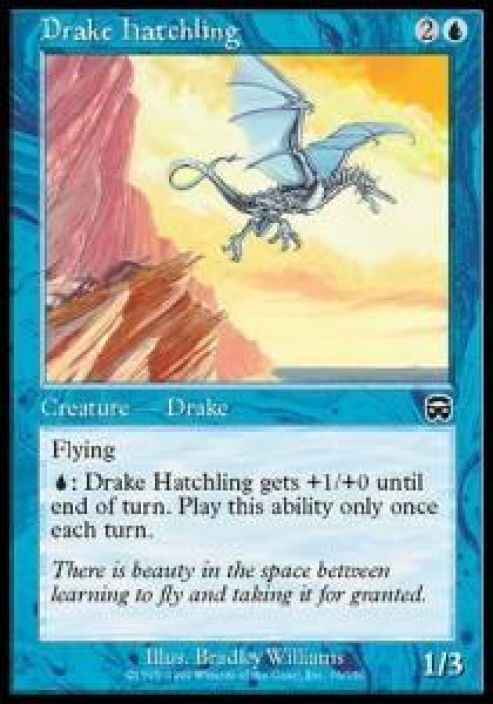 Drake hatchling Kunto: Excellent