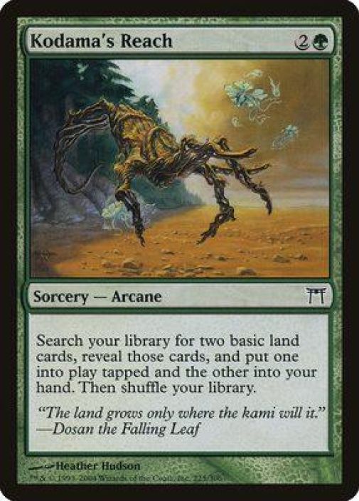 Kodama's Reach PL Kunto PL
