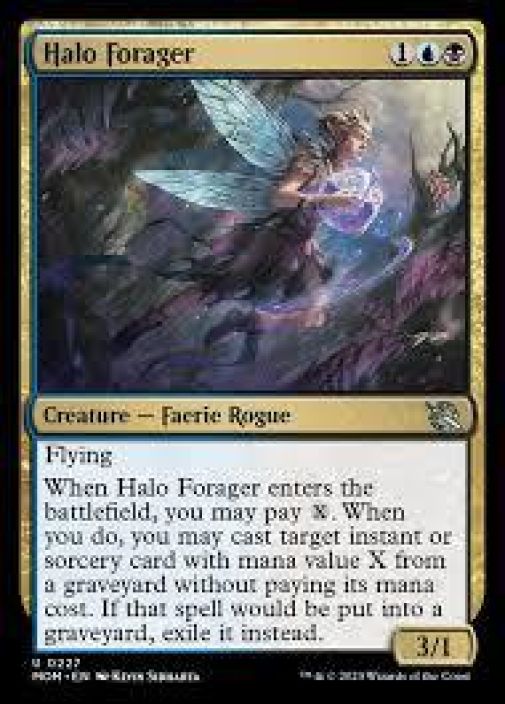 Halo Forager Kunto: NM