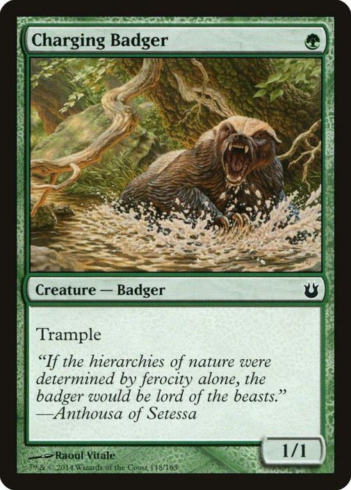 Charging Badger Kunto: Near Mint