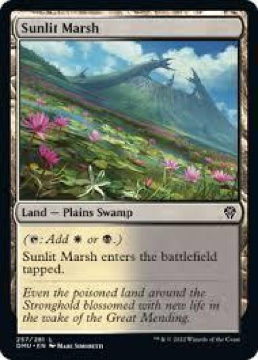 Sunlit Marsh Kunto: NM