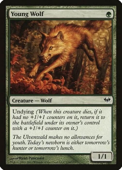 Young Wolf Kunto: EX