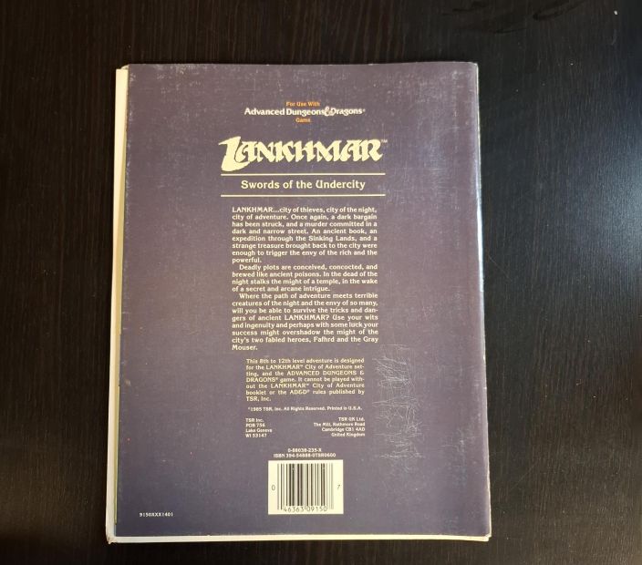 Advanced Dungeons &amp; Dragons Swords of the Undercity tuotekuva 1