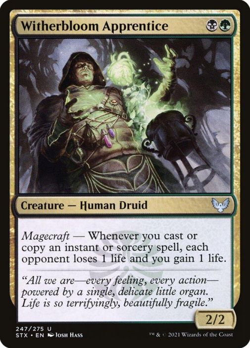Witherbloom Apprentice Kunto: NM
