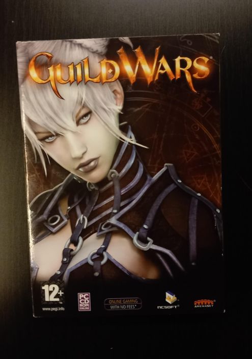 Guild Wars Kaytetty PC