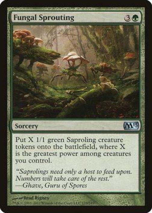 Fungal Sprouting Kunto PL