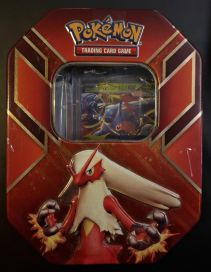 Pokemon Blaziken Tina