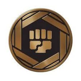 Pokemon Kolikko Fighting