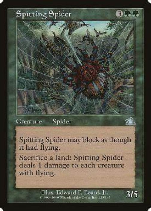 Spitting Spider Kunto: Excellent