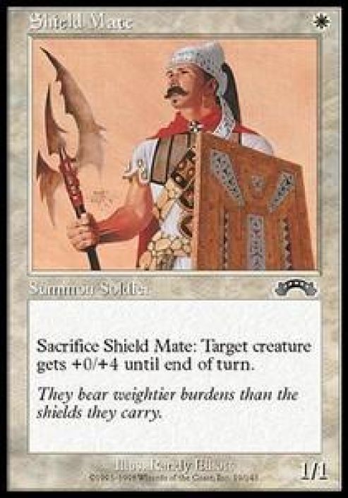 Shield Mate Kunto: Near Mint