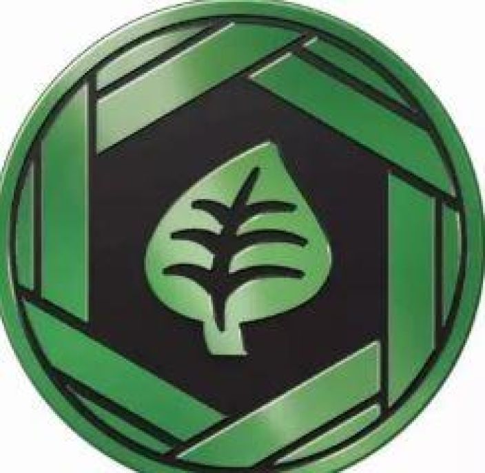 pokemon kolikko grass