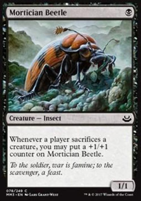 Mortician beetle 078/249 GD