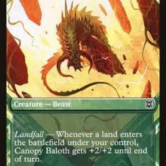 Canopy Baloth Kunto: NM