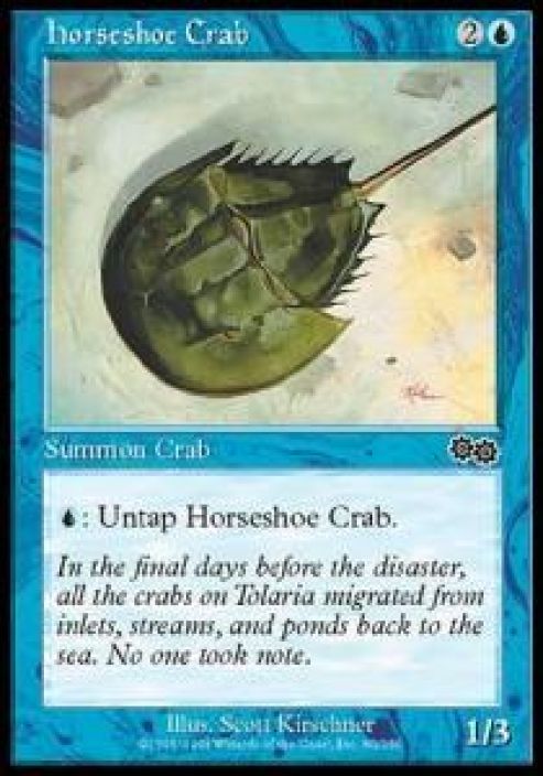 horseshoe Crab Kunto: Excellent