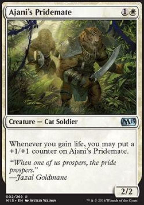 Ajani's Pridemate Kunto: Excellent