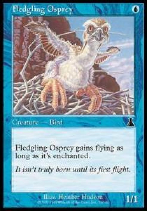 Fledgling Osprey Kunto: Near Mint