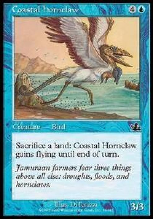 Coastal hornclaw Kunto: Excellent