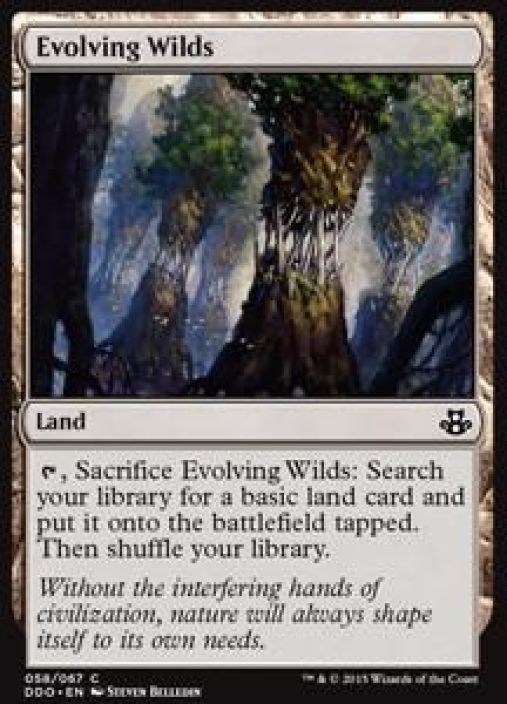 Evolving Wilds Kunto: NM