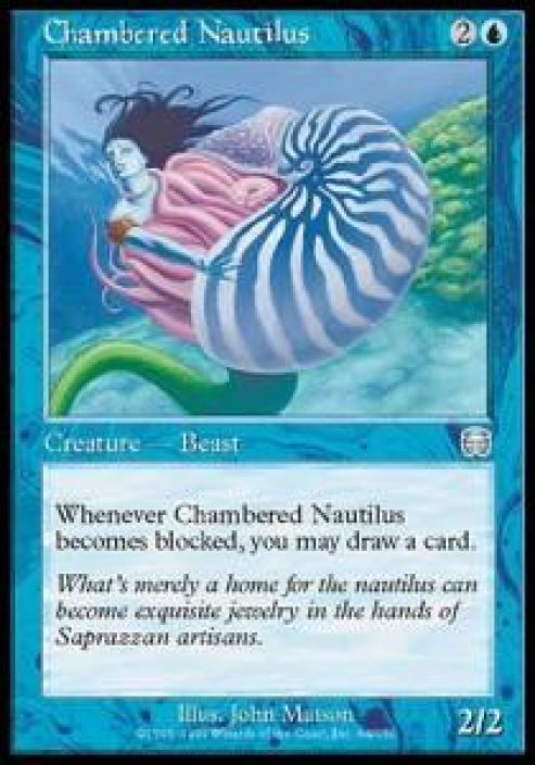 Chambered Nautilus Kunto: Excellent