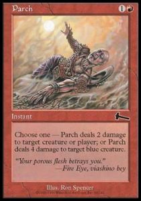 Parch Kunto Excellent