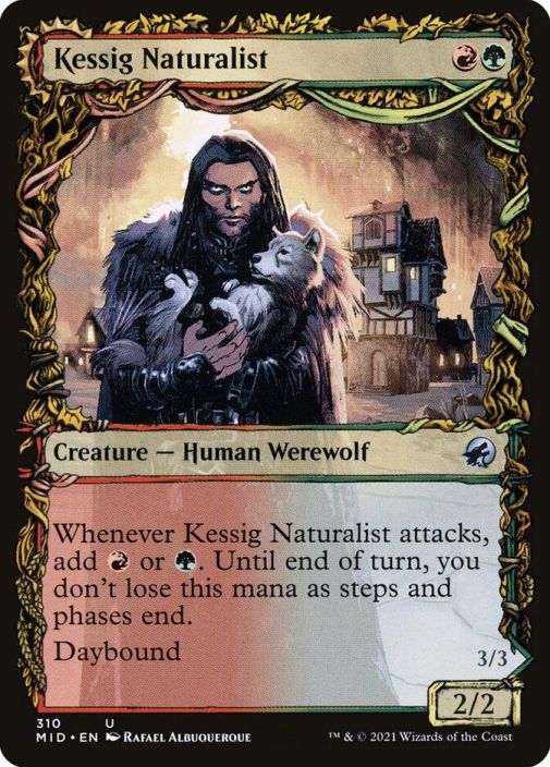 Kessig Naturalist Kunto: NM