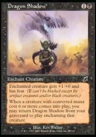 Dragon Shadow