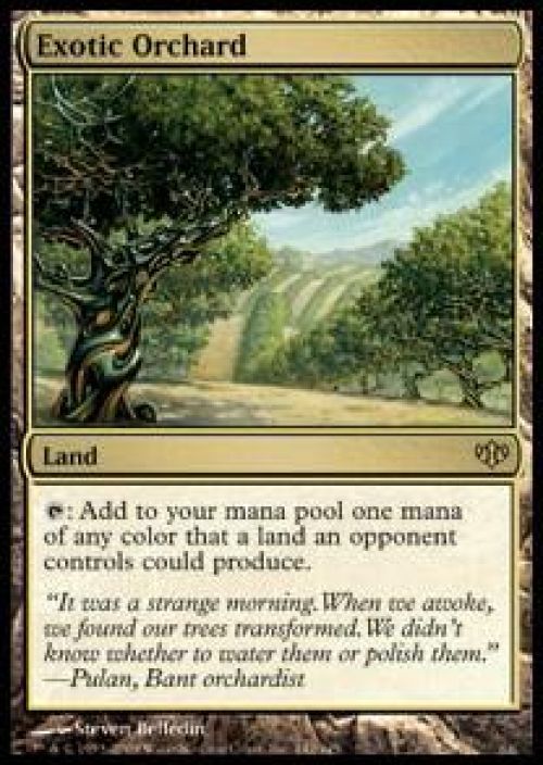 Exotic Orchard Foil GD Kunto: Good