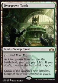 Overgrown Tomb 253/259 EX